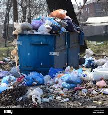 Best Recycling Services for Junk  in India Hook, SC