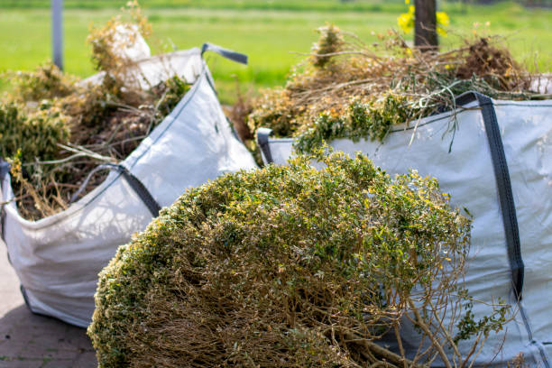 Shed Removal in India Hook, SC